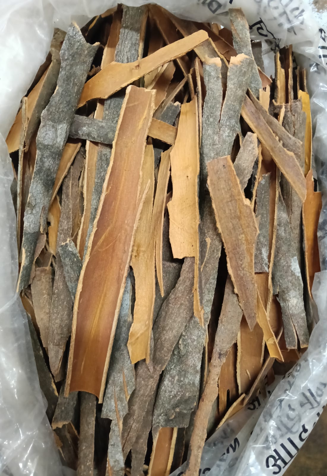 DALCHEENI (PAPER DOSA)