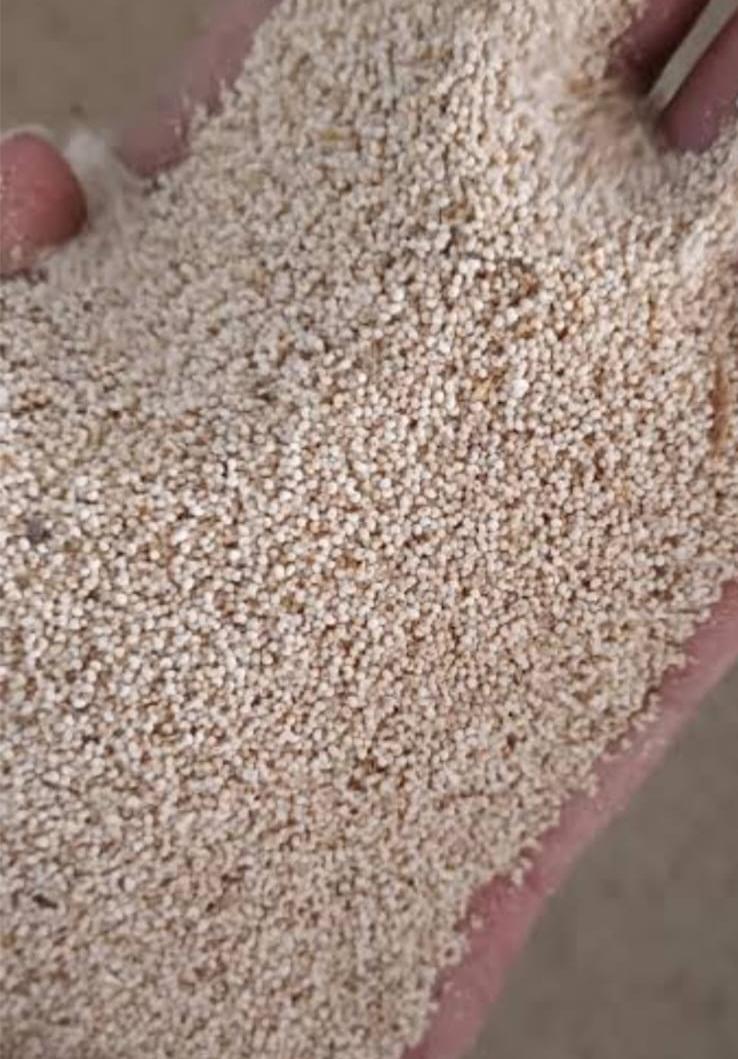 POPPY SEED (KHASKHAAS)