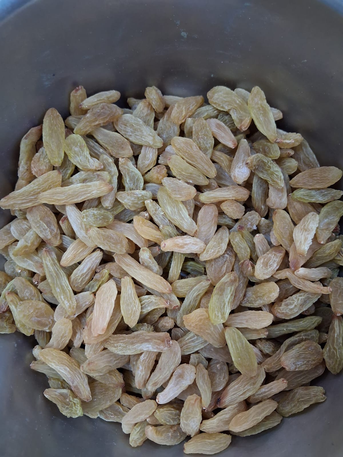 SAUGI (INDIAN)